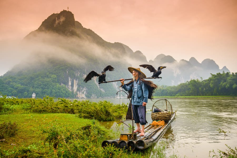Pescador de Cormoran sobre una lancha en el río Yulong